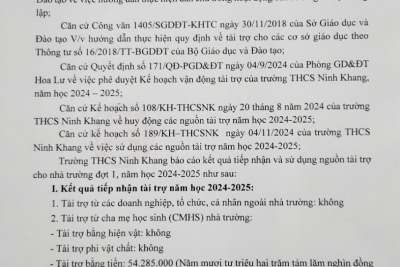 BÁO CÁO Kết quả VĐTT học kì I, năm học 2024 – 2025
